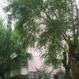 花園北里 花園北里