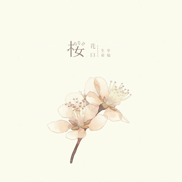 櫻緣(原創歌曲) 櫻緣(原創歌曲)