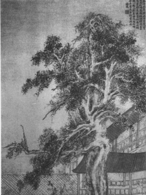 竹庵大樹圖 竹庵大樹圖