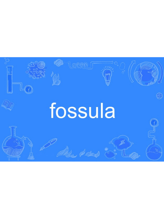 fossula fossula