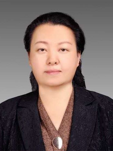 高寧(滁州市住房公積金管理中心黨組成員、副主任) 高寧(滁州市住房公積金管理中心黨組成員、副主任)