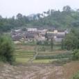 席草塘村 席草塘村