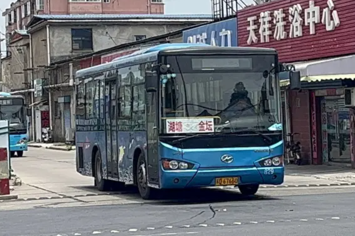 金湖線 金湖線