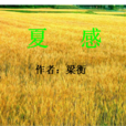 夏感