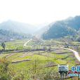 鎖龍村 鎖龍村
