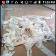 9Gag HomeBase