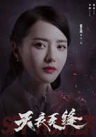 天衣無縫(2019年李路執導電視劇)