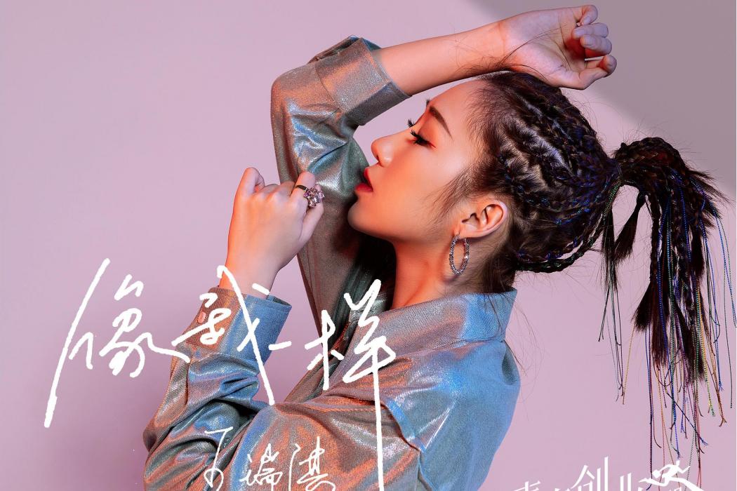 像我一樣(王瑞淇演唱歌曲) 像我一樣(王瑞淇演唱歌曲)