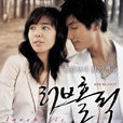 愛情中毒(2005年安七炫、金圭麗主演電視劇) 愛情中毒(2005年安七炫、金圭麗主演電視劇)