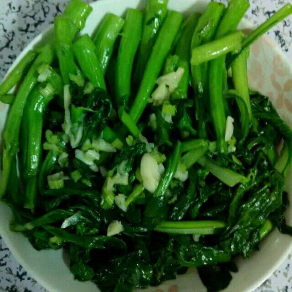 油綠501菜心 油綠501菜心