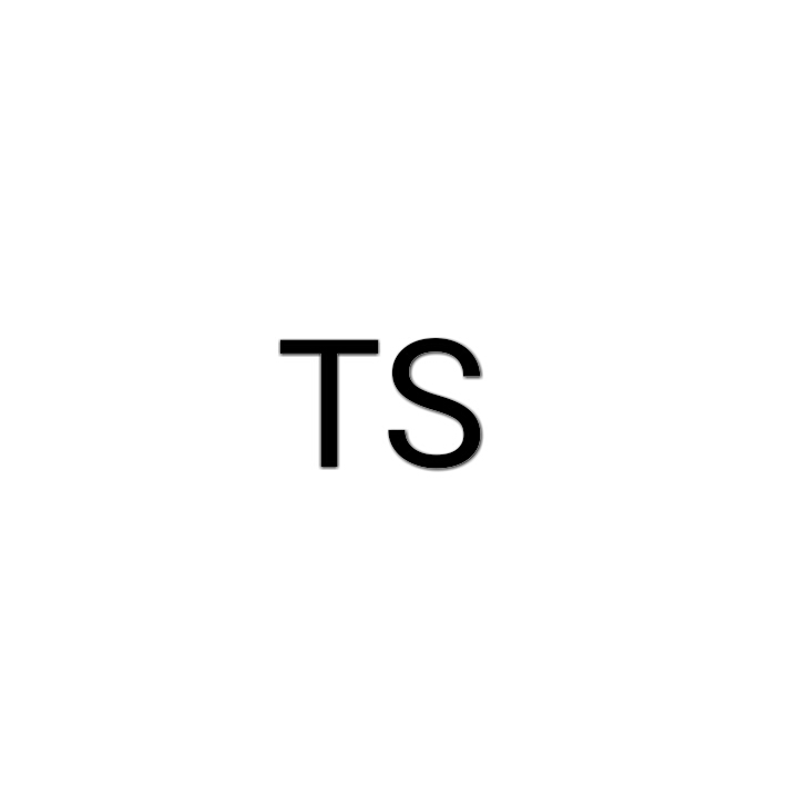 TS(電影發布版本術語)