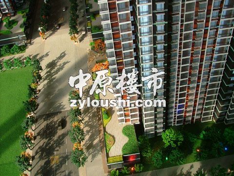 綠洲雲頂 綠洲雲頂