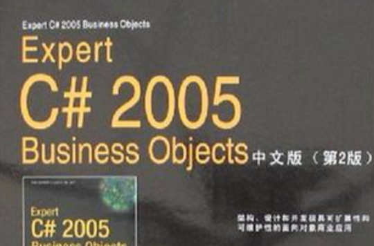 Expert C# 2005 Business Objects中文版