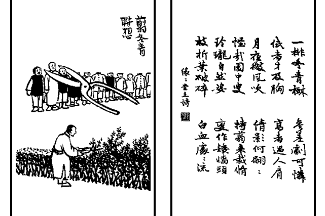 剪冬青聯想 剪冬青聯想