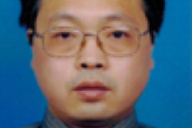 張冰(鄭州大學化工學院教授) 張冰(鄭州大學化工學院教授)