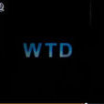 WTD WTD