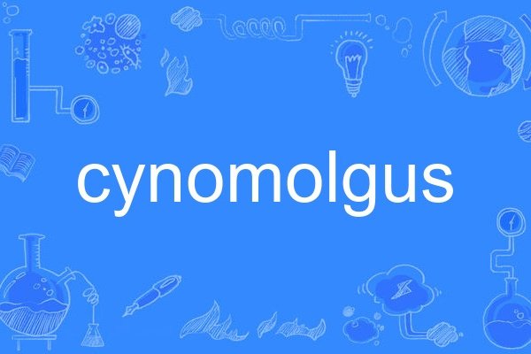 cynomolgus cynomolgus