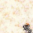 煙花煙花 煙花煙花