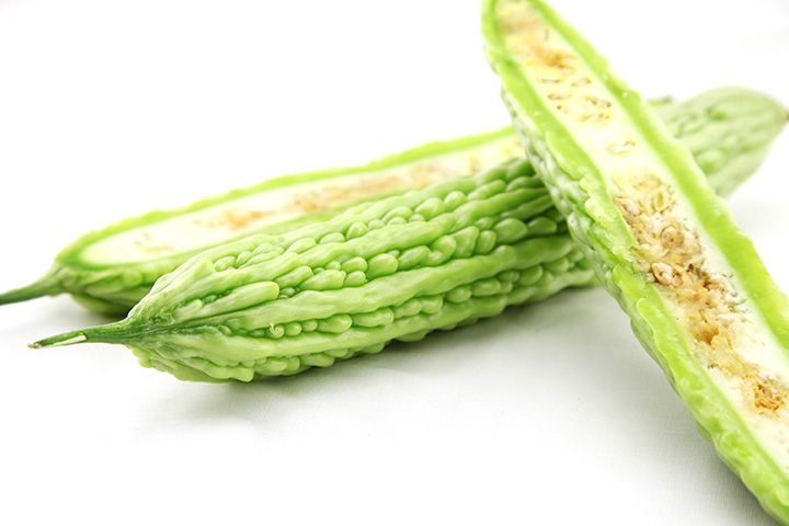 川苦瓜6號 川苦瓜6號