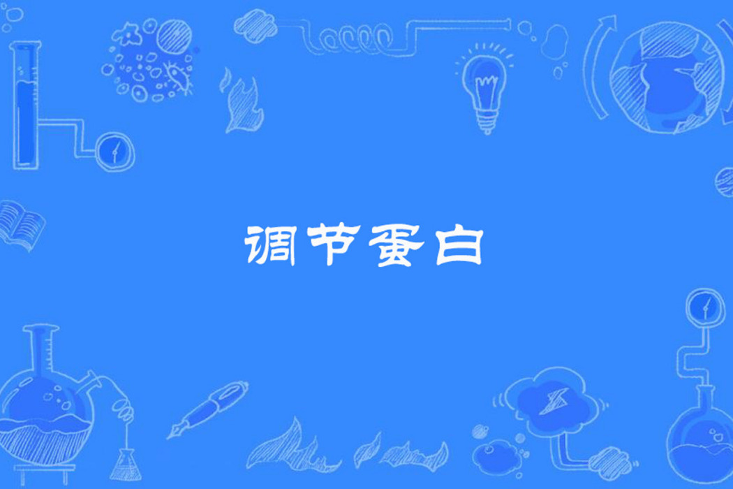 調節蛋白 調節蛋白