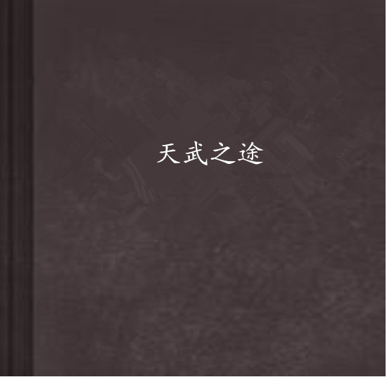 天武之途 天武之途
