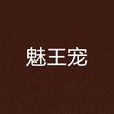 魅王寵 魅王寵