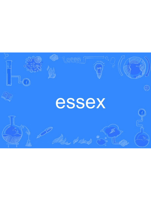 essex essex