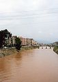 土耳其境內的奧龍特斯河