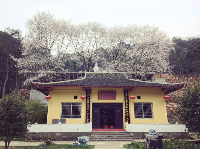 方竹寺 方竹寺