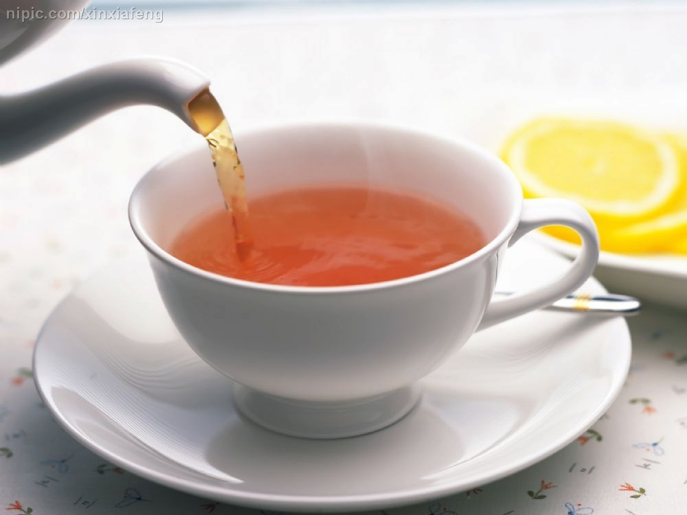 茶(中國海關出版社出版圖書)