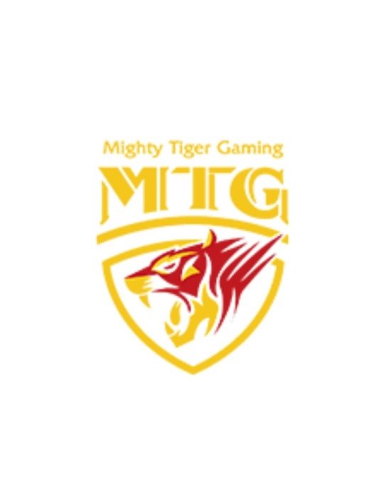 MTG戰隊 MTG戰隊