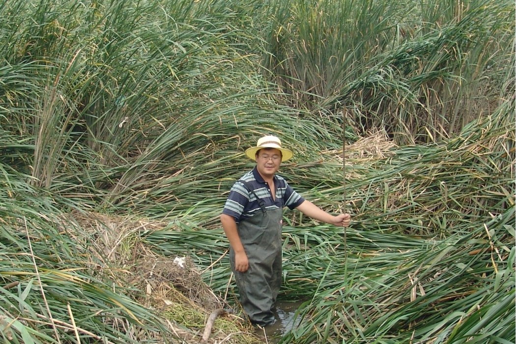 王立志(臨沂大學副教授) 王立志(臨沂大學副教授)