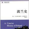 世界歷史文庫：波蘭史(波蘭史（耶日·盧克瓦斯基等所著書籍）)