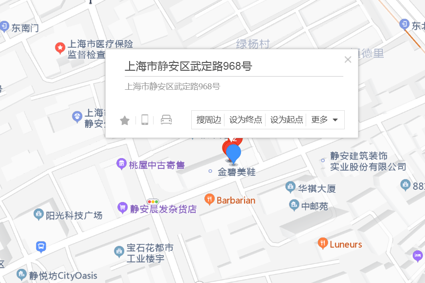 武定路968號 武定路968號