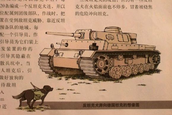 反坦克犬 反坦克犬