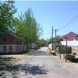 三官廟村(高密市康莊鎮下轄村) 三官廟村(高密市康莊鎮下轄村)