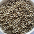 菠菜子 菠菜子