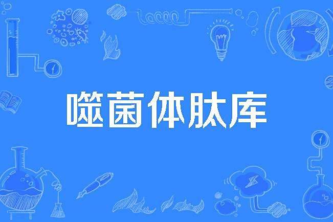 噬菌體肽庫