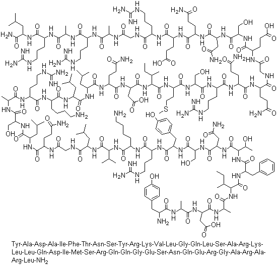 分子結構圖