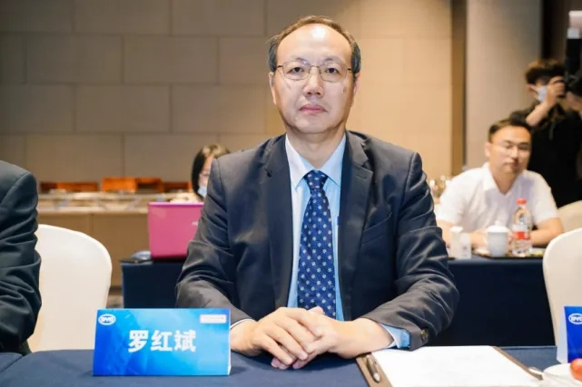 羅紅斌(比亞迪股份副總裁) 羅紅斌(比亞迪股份副總裁)