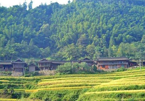 山頭坡村(雲南省昆明市祿勸彝族苗族自治縣茂山鄉茂山村下轄自然村) 山頭坡村(雲南省昆明市祿勸彝族苗族自治縣茂山鄉茂山村下轄自然村)