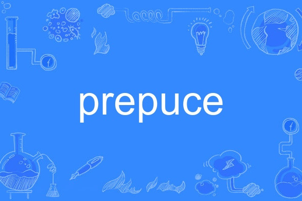 prepuce prepuce