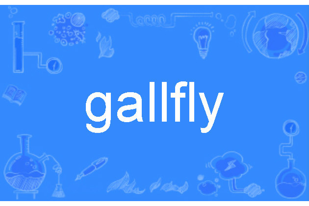 gallfly gallfly