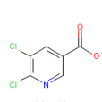 5,6-二氯煙酸 5,6-二氯煙酸