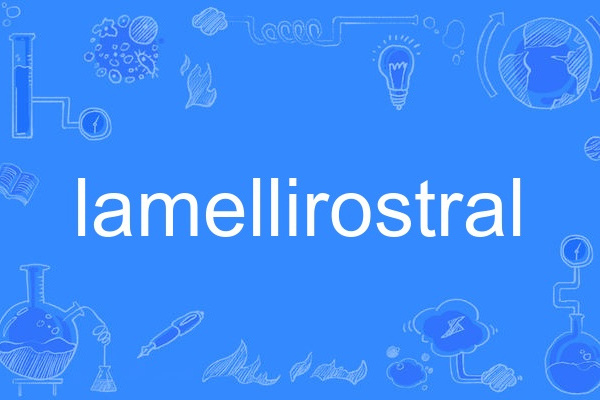 lamellirostral lamellirostral