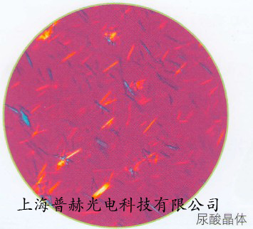 奧林巴斯螢光顯微鏡BX43