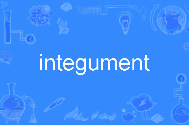 integument integument