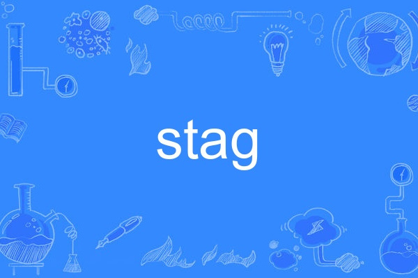 stag(英語單詞) stag(英語單詞)