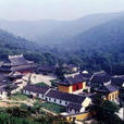 諸寺監 諸寺監