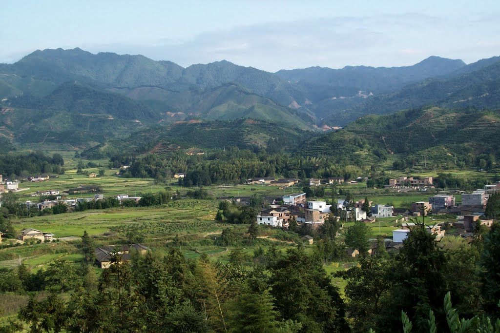 羅鎮村 羅鎮村